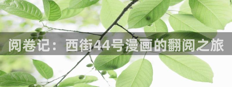汗汗漫画免费下拉式漫画：阅卷记：西街44号漫画的翻阅之旅